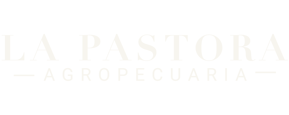 lapastora.laviscaura.com