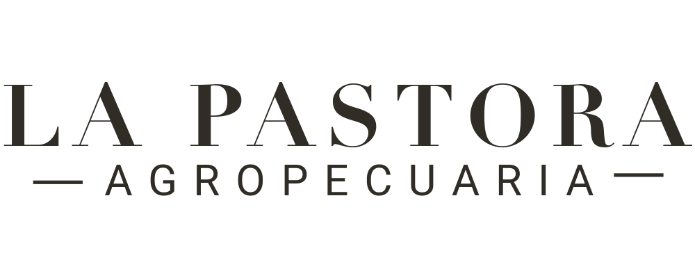 lapastora.laviscaura.com